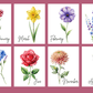 Elegant Flower Personalised Wedding Style 20oz Skinny Tumbler