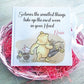 Pooh Bear and Friend Nursery Cushion memory Book  Set