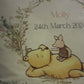 Stars Pooh Bear and Friend Nursery Cushion Comforter Set